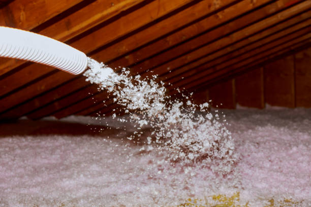 Best Insulation Repair Services  in East Northport, NY