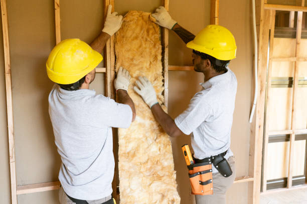 Best Insulation Removal  in East Northport, NY